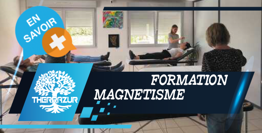 Fb boutonsfrm magnetisme